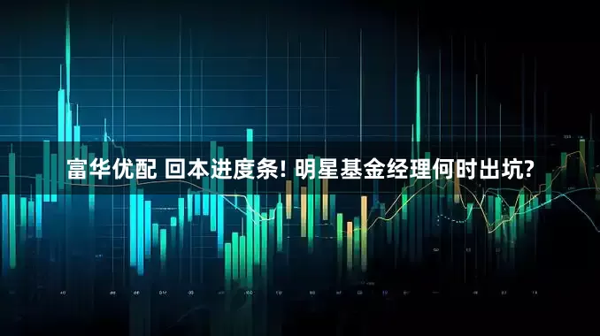 富华优配 回本进度条! 明星基金经理何时出坑?