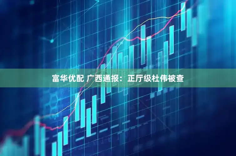 富华优配 广西通报：正厅级杜伟被查