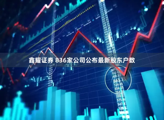 鑫耀证券 836家公司公布最新股东户数